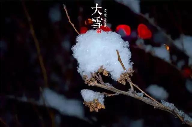 二十四节气诗