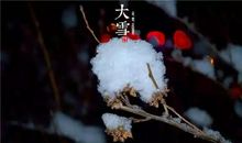 二十四节气大雪的诗词