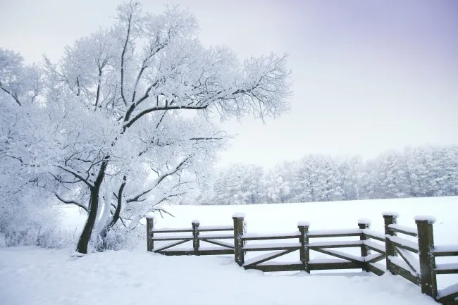 谈论在下雪天的快乐心情1