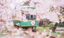 描写游乐场开心的句子