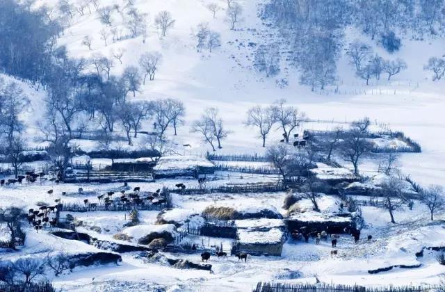 第二十四节大雪的诗句2