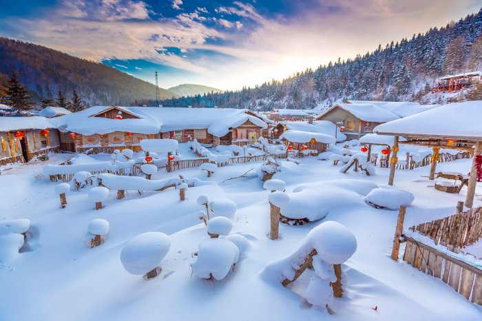 描述《大雪2》的句子片段