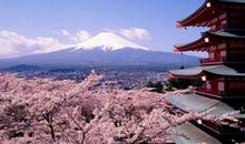 表示开心的拟人句子