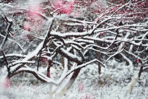 二十四节气和大雪图片和经文