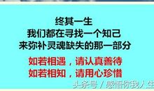 品味生活的名言