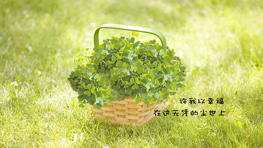 快乐的句子