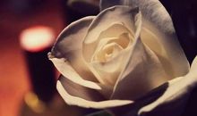 祝恋人开心的精美句子