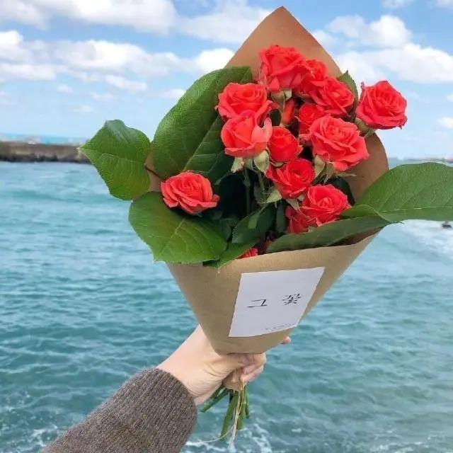 感恩节撰稿人2