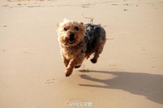 审美英语句子2