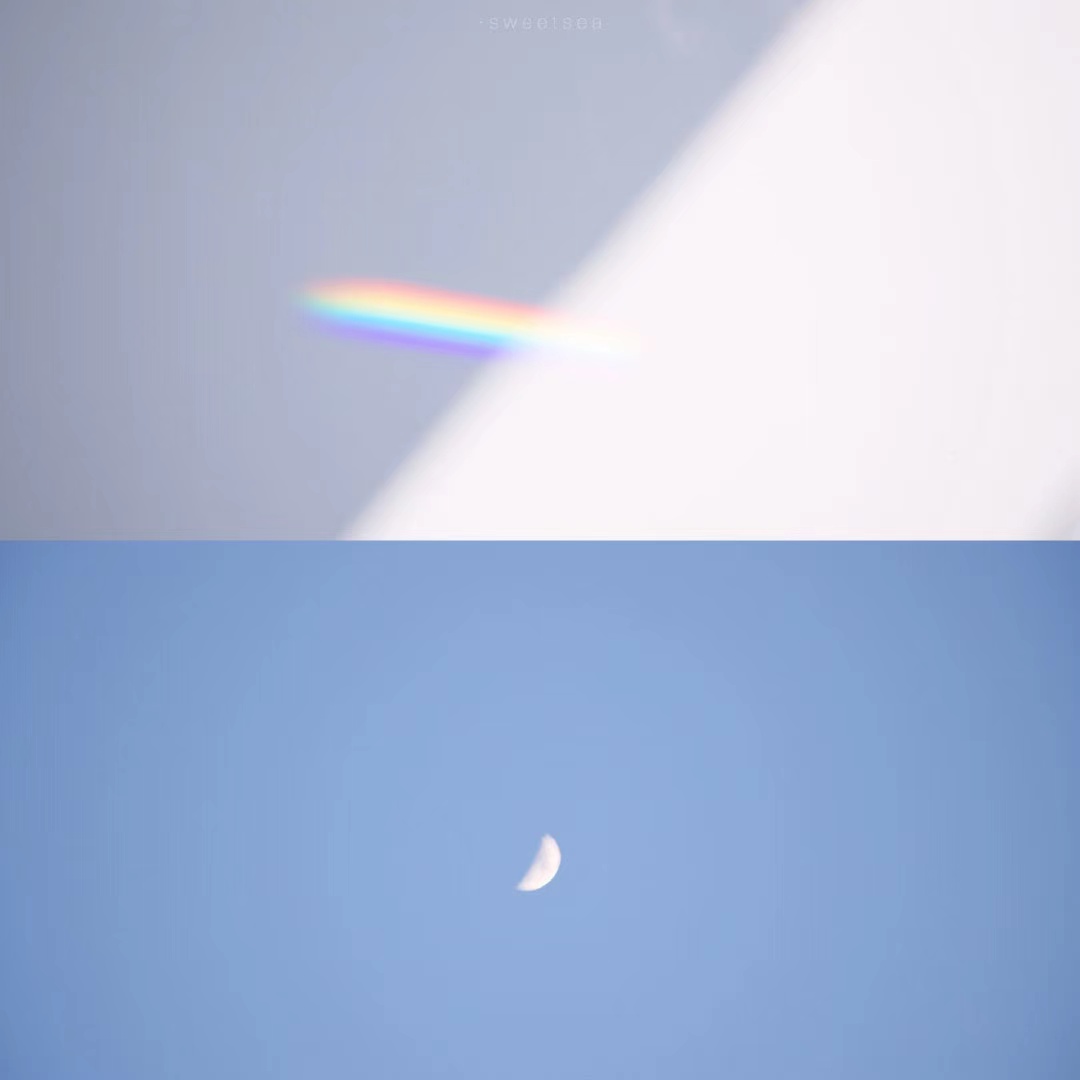 描述字符表达语句1