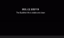 看抖音的经典四字句子