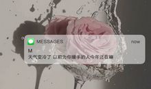 温暖积极的英文文案