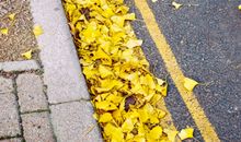 适合天气变冷时发的句子 天气变冷的可爱文案