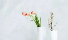 感恩的经典语录