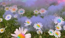 最经典的杀马特句子