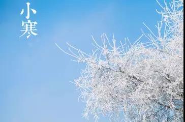 萧寒诗