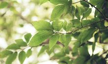 童心未泯的优美句子