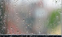 冬雨的优美句子