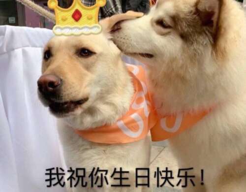 8个生日短语来温暖你的心2