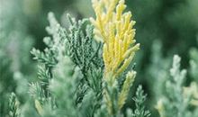 感人肺腑的生活句子