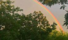 爱情真挚的哲理句子