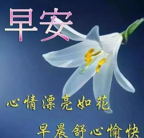 早晨朋友圈中的鼓舞人心的问候