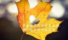 说说朋友圈的感悟