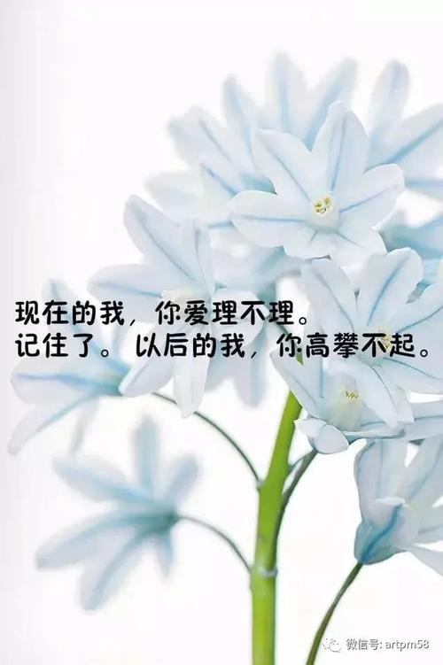 动漫中的励志经典名言