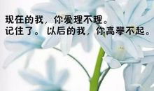 动漫中励志的经典语录