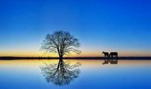 谦虚的优美句子