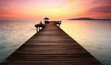 银杏的优美句子