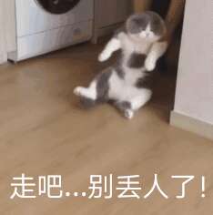 滑稽和悲伤的自欺欺人的句子文案写作1