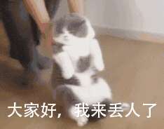有趣和悲伤的自欺欺人的句子