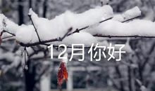 你好十二月图片带字