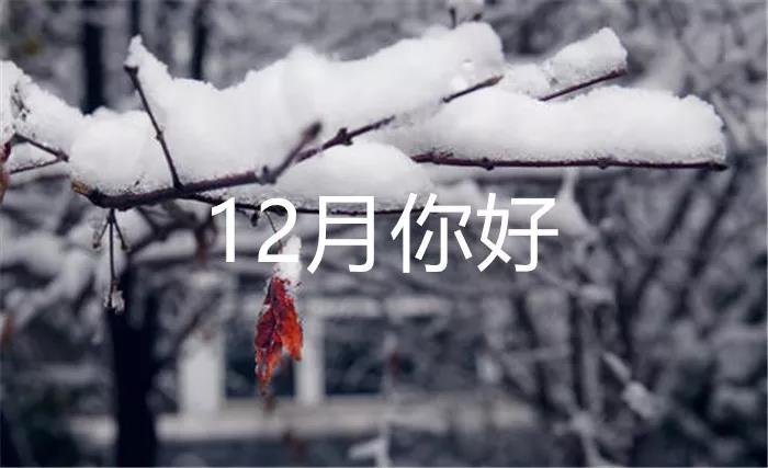 你好12月谈话