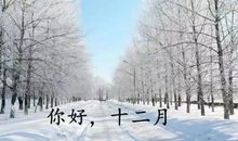 你好十二月的句子