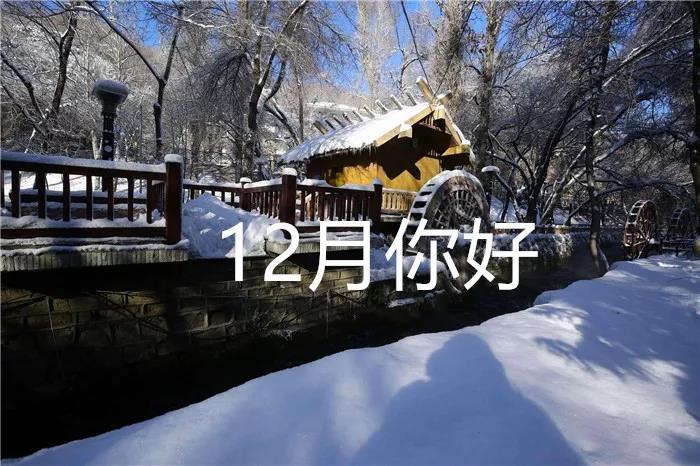 你好12月图片美丽2