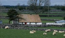 余生活得开心的句子