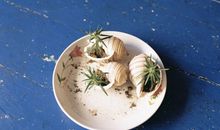 开心积极乐观的句子