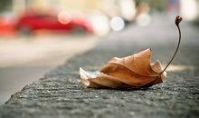 开心就笑的开心句子