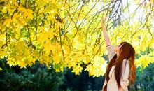 感悟人生幸福的句子