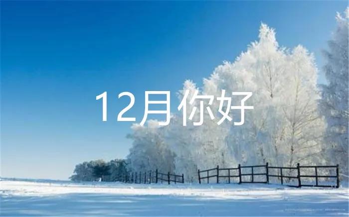 你好12月经典报价1