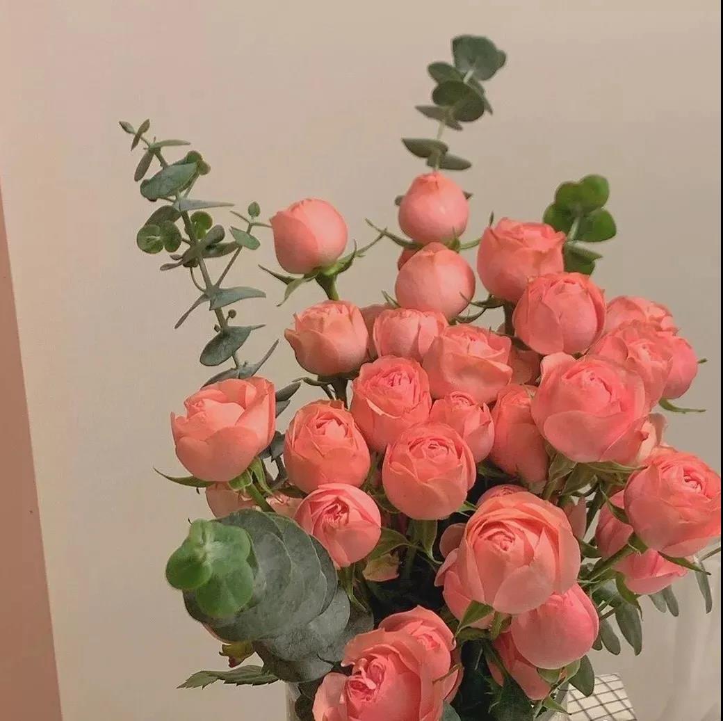 感恩节问候语