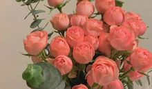 感恩节祝福语 句子