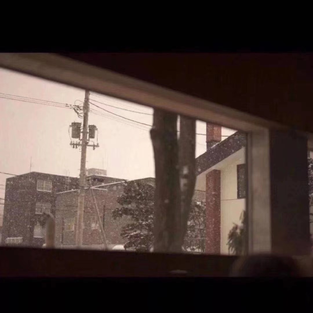 阳光抒情2