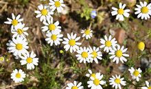 洒脱开心的句子