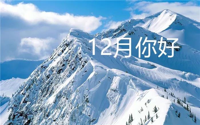 发表于12月2日
