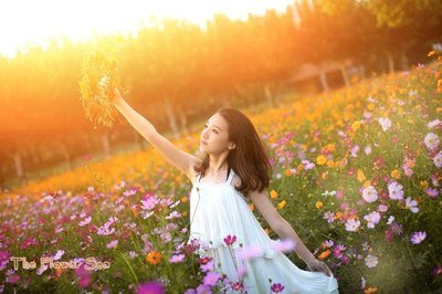 平静的句子