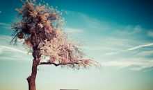 使人放松心情的句子