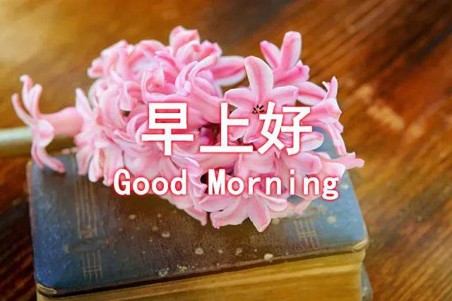 早上好，给女友2温暖的心